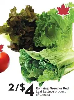 Sobeys Romaine, Green or Red Leaf Lettuce offer