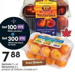 Sobeys Apricots 1 L or Nectarines 2L offer