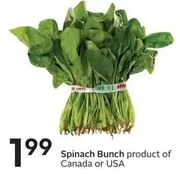 Sobeys Spinach Bunch offer