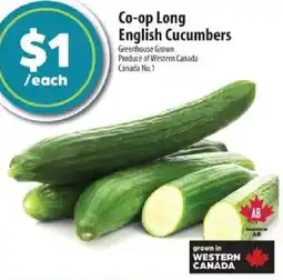 Co-op Co-op Long English Cucumbers offer