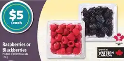 Co-op Raspberries or Blackberries offer