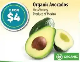 Co-op Organic Avocados offer