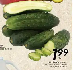 Sobeys Pickling Cucumbers offer