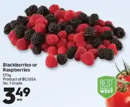 Calgary Co-op Blackberries or raspberries offer
