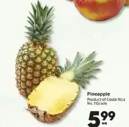 Calgary Co-op Pineapple offer