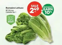 Calgary Co-op Romaine Lettuce offer