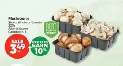 Calgary Co-op Mushrooms offer