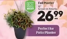 Calgary Co-op Fall Planter offer