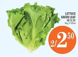 Al Premium Food Mart Lettuce green leaf offer