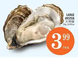 Al Premium Food Mart Large oyster offer