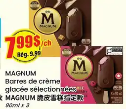 Btrust Supermarket MAGNUM Barres de crème glacée sélectionnées offer
