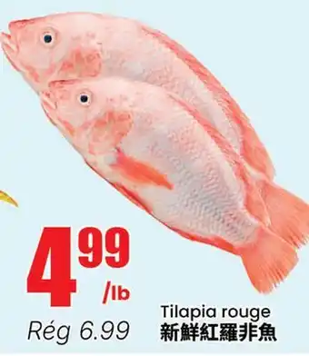 Btrust Supermarket Tilapia rouge offer