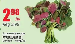 Btrust Supermarket Amarante rouge offer