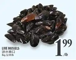 Al Premium Food Mart Live mussels offer
