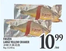 Al Premium Food Mart Frozen large yellow croaker offer