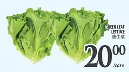Al Premium Food Mart Green leaf lettuce offer