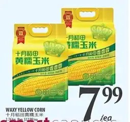 Al Premium Food Mart Waxy yellow corn offer