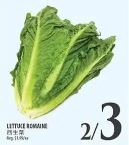 Al Premium Food Mart Lettuce romaine offer