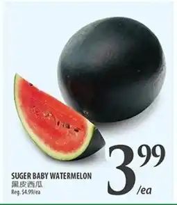 Al Premium Food Mart Suger baby watermelon offer