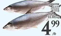 Al Premium Food Mart Milk fish offer