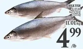 Al Premium Food Mart Milk fish offer