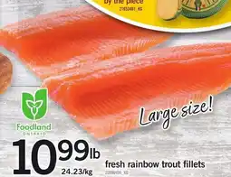 Loblaws fresh rainbow trout fillets offer