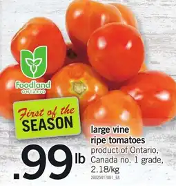 Loblaws large vine ripe tomatoes offer