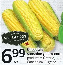 Loblaws Chocolate sunshine yellow corn offer