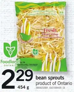 Loblaws Bean sprouts offer