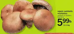 Loblaws organic portobella mushrooms offer