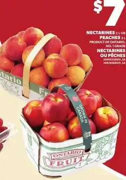 Independent City Market NECTARINES, 2 L OR PEACHES, 3 L offer
