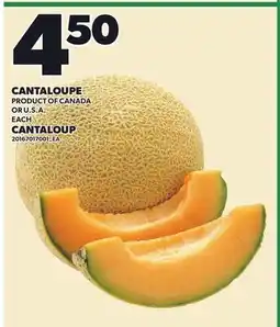 Independent City Market CANTALOUPE offer