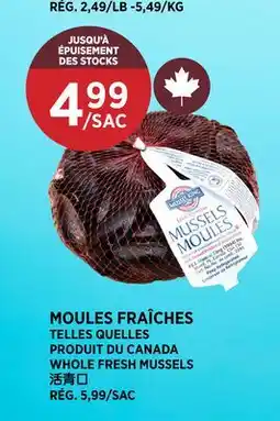 Kim Phat WHOLE FRESH MUSSELS offer