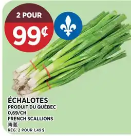 Kim Phat FRENCH SCALLIONS offer