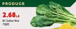 H-Mart BC Gailan Mue offer