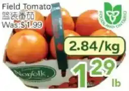 Ample Food Market Field Tomato offer