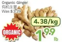 Ample Food Market Organic Ginger offer