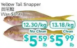 Ample Food Market Yellow Tail Snapper offer