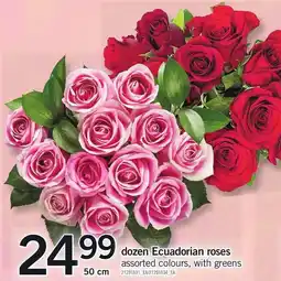 Loblaws dozen Ecuadorian roses offer