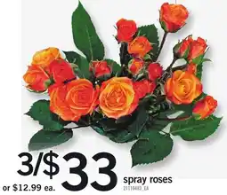 Loblaws spray roses offer