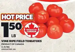Loblaws Vine ripe field tomatoes offer