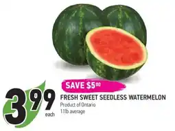 Coppa's Fresh Market Fresh sweet seedless watermelon offer