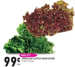 Coppa's Fresh Market Fresh leaf lettuce green or red offer