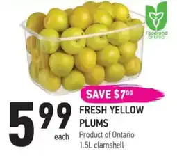Coppa's Fresh Market Fresh yellow plums offer