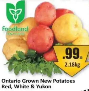 Ontario Grown New Potatoes Red, White & Yukon