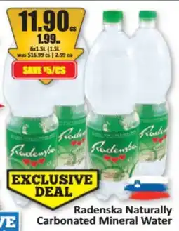 Starsky Radenska Naturally Carbonated Mineral Water offer