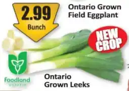Starsky Ontario Grown Leeks offer