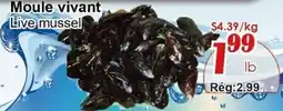 Marche C&T Live Mussel offer
