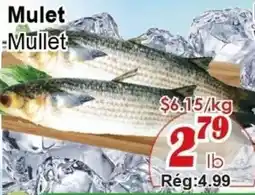 Marche C&T Mullet offer