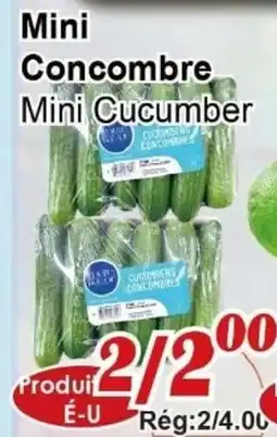 Marche C&T Mini Cucumber offer